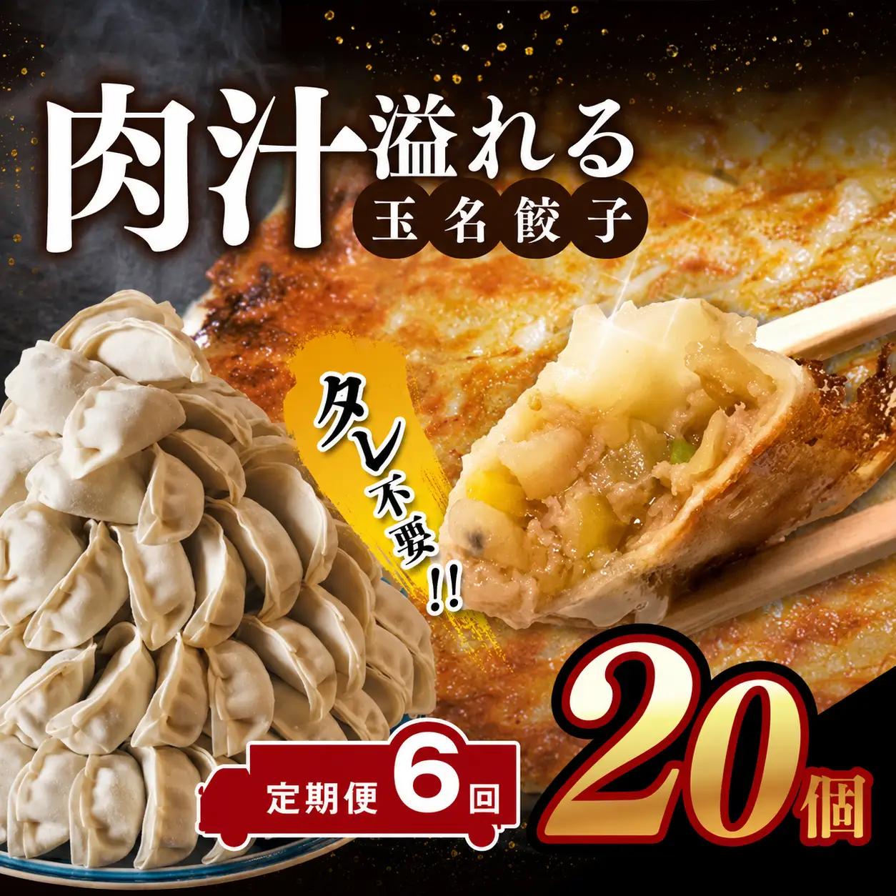【定期便6回】玉名餃子 20個