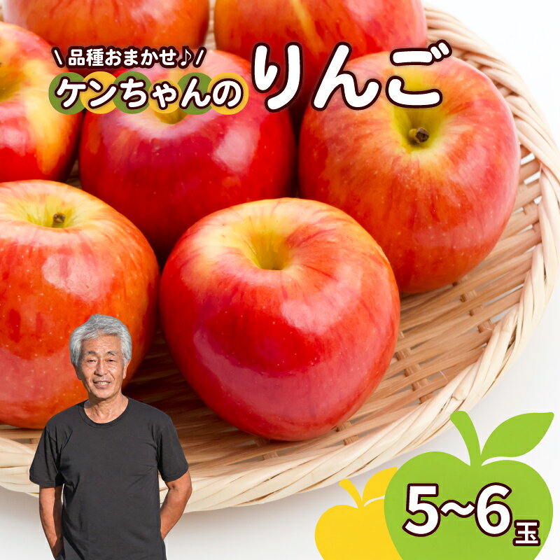 【ふるさと納税】 りんご 品種おまかせ 5~6個 約2kg りんご シナノゴールド シナノスイート 林檎 果物 リンゴ 品種 おまかせ アップル 秋 旬 ギフト 贈答 旬 甘い フルーツ くだもの 高橋農園 新潟県 新発田市 takahashi008