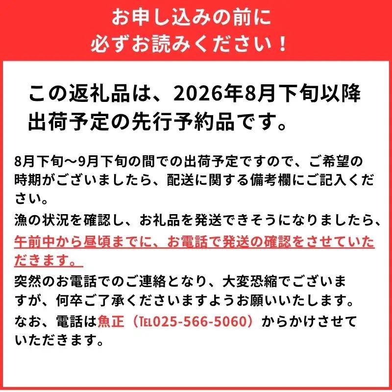 【2026年8月以降発送】天然のどくろ (アカムツ) 6尾 約2kg 先行予約 鮮度抜群！水揚げ直後に発送 高級魚 生 刺身 煮付け 下処理可能 魚正 日本海 刺身 ノドグロ のどぐろ 赤ムツ