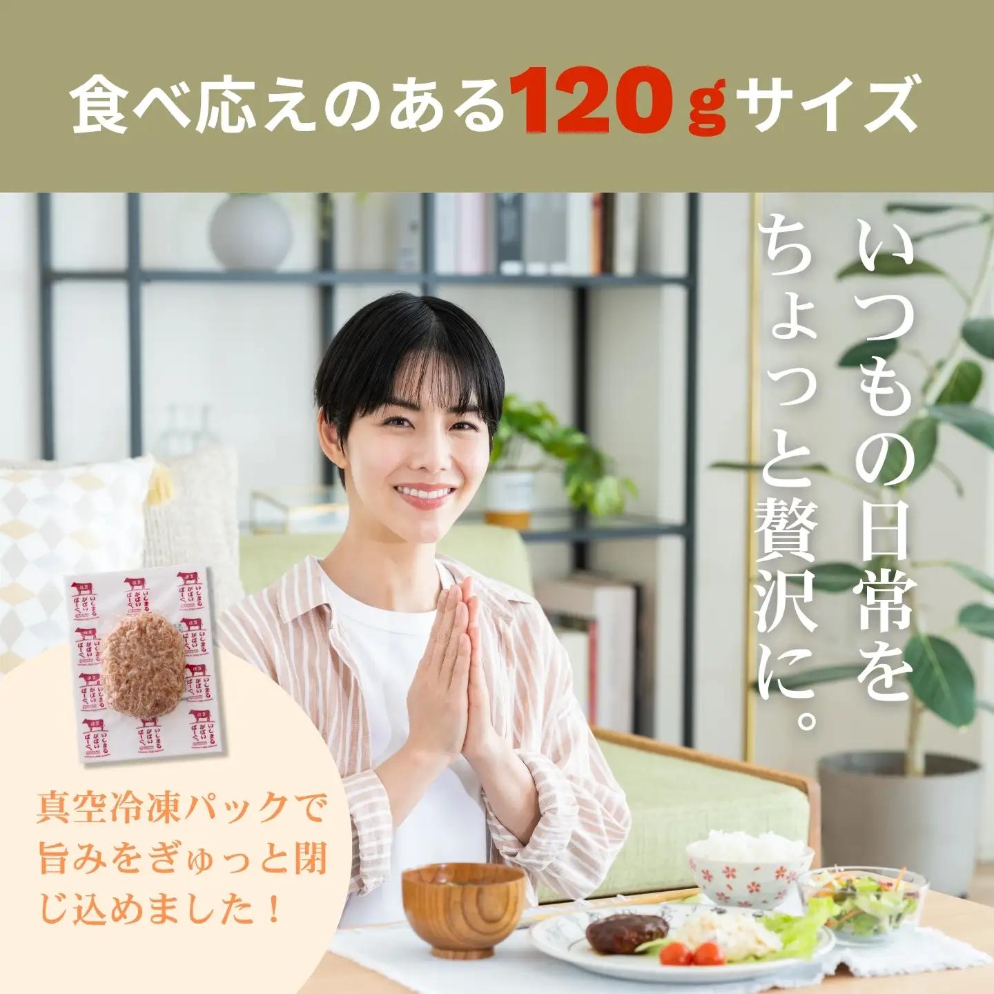 佐賀牛入り　がばいばーぐ®　120g×20個（2.4kg) ハンバーグ ギフト 老舗 さが サガ：B240-035
