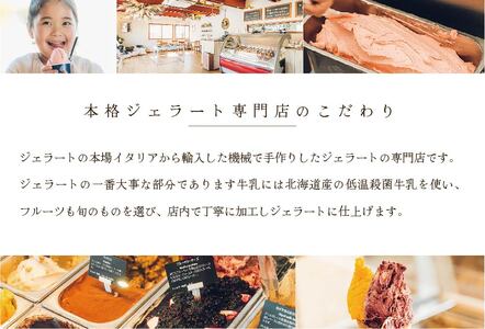 8種のアイスジェラート  （ あいす アイス ジェラート 北海道 別海町 人気 ふるさと納税 ）