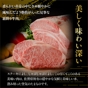 O176 佐賀牛 カルビ焼肉 260g カルビ 焼肉 霜降り ギフト 贈答 国産牛 和牛 ブランド牛 牛肉 肉 高級 人気 おすすめ 佐賀県 太良町