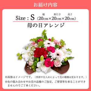 【母の日】 フラワーアレンジメント（S） / 生花 フラワーアレンジメント 花束 綾部市 / 有限会社トリオ［BSDZ054］