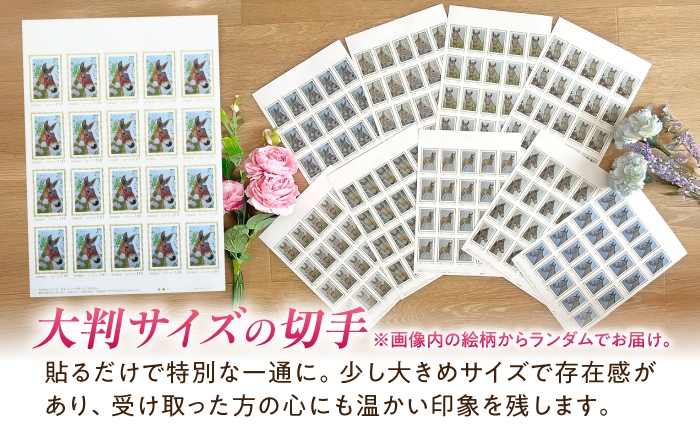 文房具 ステーショナリーセット 競馬 馬 競走馬 グッズ 雑貨 クリアファイル