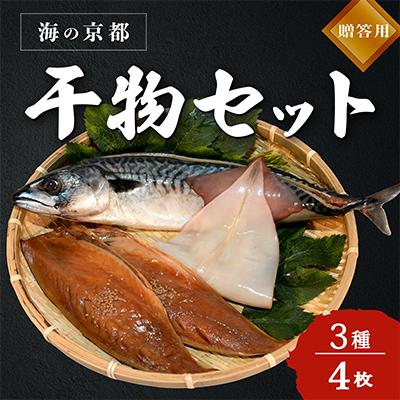 ふるさと納税 宮津市 海の京都 橋立やまいちの干物セット 贈答用 B[ 一夜干し 桜干し ギフト ]