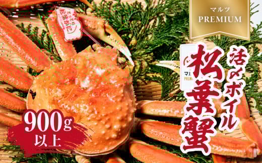 【早期先行予約】【マルツPREMIUM】タグ付き 活〆ボイル松葉蟹 900g以上 【北海道・沖縄・離島配送不可】 松葉ガニ 松葉がに 蟹 カニ かに 境港 マルツ 鳥取県日野町 60000011