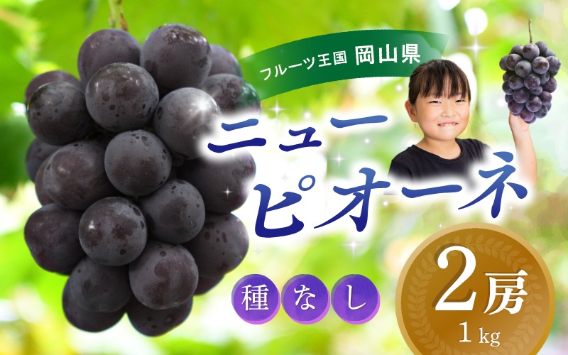 ＼2026年の先行予約です／ ぶどう 岡山 花笑み農園『ニューピオーネ』1kg（2房） hana14 贈答 岡山 真庭 ピオーネ 高級 1kg 贈答 2025 真庭市 大粒 葡萄 果物 フルーツ 濃厚
