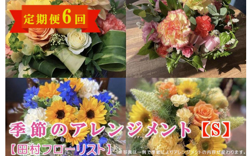 季節のフラワーアレンジメント Sサイズ 6回 定期便 6ヶ月 花 生花 フラワー ギフト プレゼント 贈り物 お祝い 記念日 誕生日 母の日 敬老の日 インテリア 雑貨 飾り おしゃれ 華やか かわいい 季節の花 アレンジメント ブーケ 癒し 岩手県 盛岡市 東北 岩手 盛岡 有限会社田村フローリスト