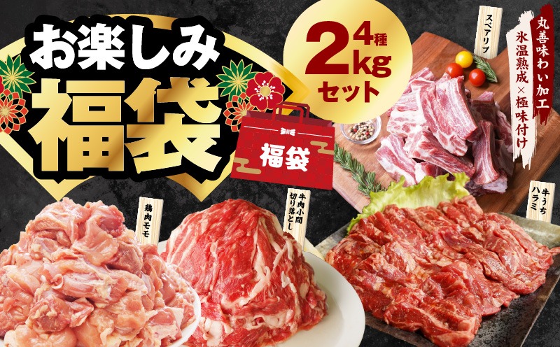 mrz0090 お楽しみ福袋 4種 2kgセット（牛肉 切り落とし／牛ハラミ／豚肉 スペアリブ／鶏肉）【氷温熟成×極味付け 焼肉 焼くだけ 食べ比べ お楽しみ 簡単調理 期間限定】