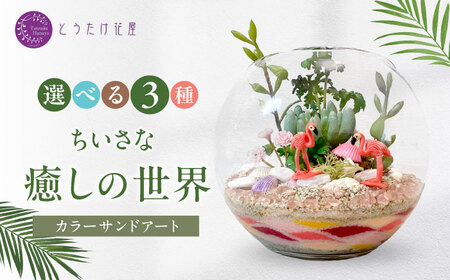 カラーサンドデザイン(小さな癒しの世界)【とうたけ花屋】[IDB003]