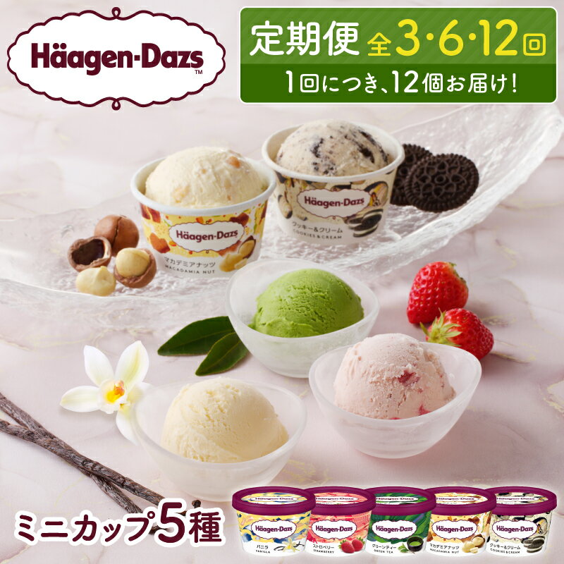 ハーゲンダッツ 定期便 全12回 アイス デザート スイーツ アイスクリーム カップ バニラ ストロベリー グリーンティー クッキー＆クリーム マカデミアナッツ いちご 抹茶 セット 人気 おすすめ お取り寄せ 北海道 浜中町 冷凍 送料無料 プレゼント ギフト