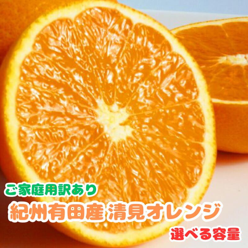 【ふるさと納税】清見オレンジ 【先行予約】【ご家庭用訳アリ】紀州有田産清見オレンジ 約5kg / 約7.5kg ※2026年3月下旬頃〜2026年4月中旬頃に順次発送予定(お届け日指定不可) / フルーツ 果物 オレンジ 和歌山 みかん くだもの 柑橘 オレンジ ミカン