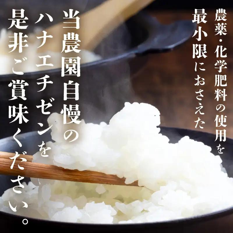 先行予約 定期便 3ヶ月連続お届け ハナエチゼン 2kg (1袋) × 3回 計6kg 白米 精米 ブランド米 2026年9月上旬以降順次発送予定 [A-8991]