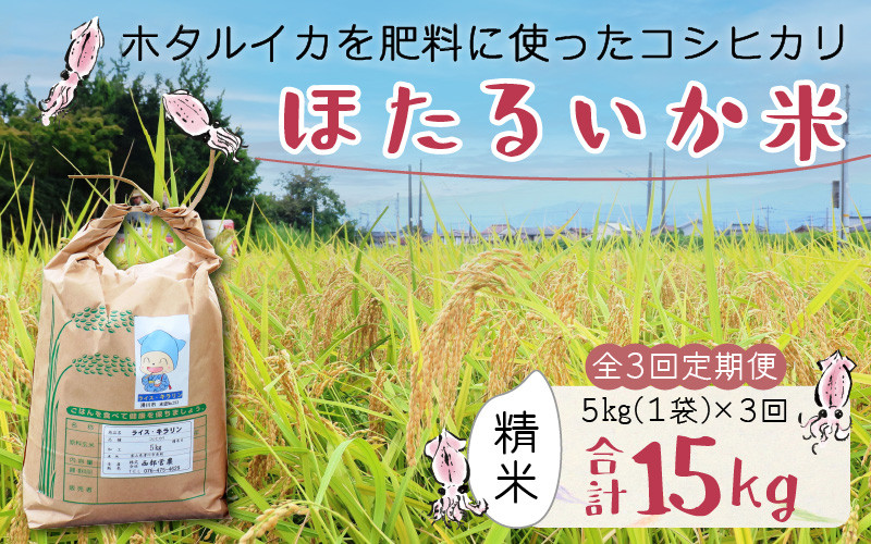 
【訳あり】ほたるいか米（精米５kg）×3回 計15kg【3ヶ月定期便】 【訳あり 米 コシヒカリ こしひかり ほたるいか ホタルイカ お米 ブランド米 富山 滑川】
