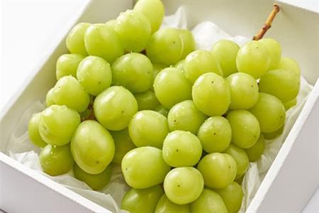 『先行予約』【7月下旬発送予定】甘みがギュッ!と詰まったシャインマスカット 2kg (約3～5房) 化粧箱 フルーツ 果物 ギフト