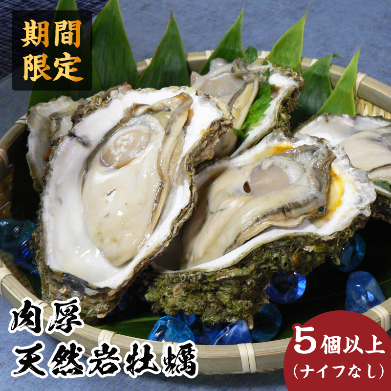 先行予約 秋田の肉厚な天然 岩牡蠣（岩ガキ 5個以上）ナイフ無し かき カキ 秋田県 にかほ市産 天然 岩牡蠣  殻付 牡蠣 海産物 魚介類 海鮮