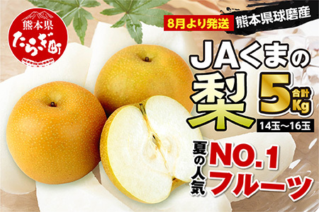 【数量限定・先行受付】JAくまの梨 5kg（14～16玉）≪2024年8月上旬発送開始≫【 梨 なし ナシ 豊水梨 秋月梨 新興梨 熊本県 旬 くまの梨 期間限定 】004-0671