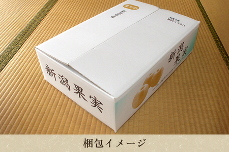 【2026年先行予約】和梨 新高 5kg（5〜9玉）《10月上旬から順次発送》
