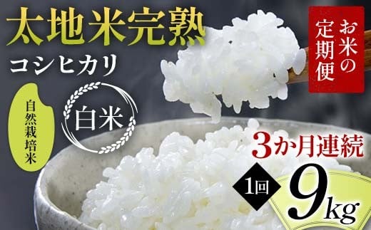 【先行予約】お米の定期便 自然栽培米 太地米完熟 【こしひかり】 白米9kg×3か月連続 ブランド米 お米 精米 白米 人気 F7X-0772
