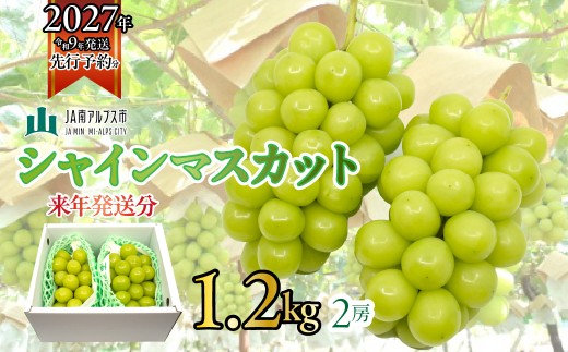 【2027年(令和9年)発送先行予約】来年発送！！★TBSテレビ系列「ひるおび」で取り上げられました！★絶品！南アルプス市産シャインマスカット1.2kg ALPAA003 ｜ 山梨 山梨県 ぶどう 葡萄 ブドウ マスカット 種なし 大粒 フルーツ くだもの 果物 高級 新鮮 産地直送 贈答 ギフト 家庭用  1.2キロ 2027年 JA JA南アルプス市 南アルプス |