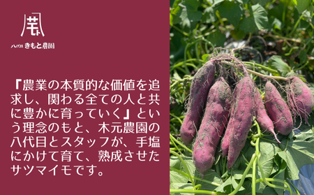 【木元農園】八代目のなると金時 約3kg | 鳴門金時 甘い ホクホク 熟成 産地直送 スイーツ おやつ 焼きいも 天ぷら 干し芋 スイートポテト 離乳食