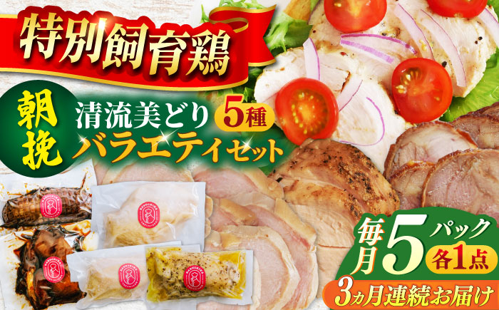 
            【3回定期便】 鶏肉 朝挽き 清流美どり バラエティ5点セット 若鶏 お取り寄せ お肉 ディナー おかず ダイエット 筋トレ 岐阜 ギフト プレゼント 贈り物 贈答 おすすめ 人気 3ヶ月 3回 定期便 詰め合わせ セット 鶏チャーシュー 照り焼き サラダチキン 燻製 プレーン オリーブマスタード 鮮度抜群 真空パック 冷凍 岐阜市 / 若鶏の春近 [ANDL012]
          