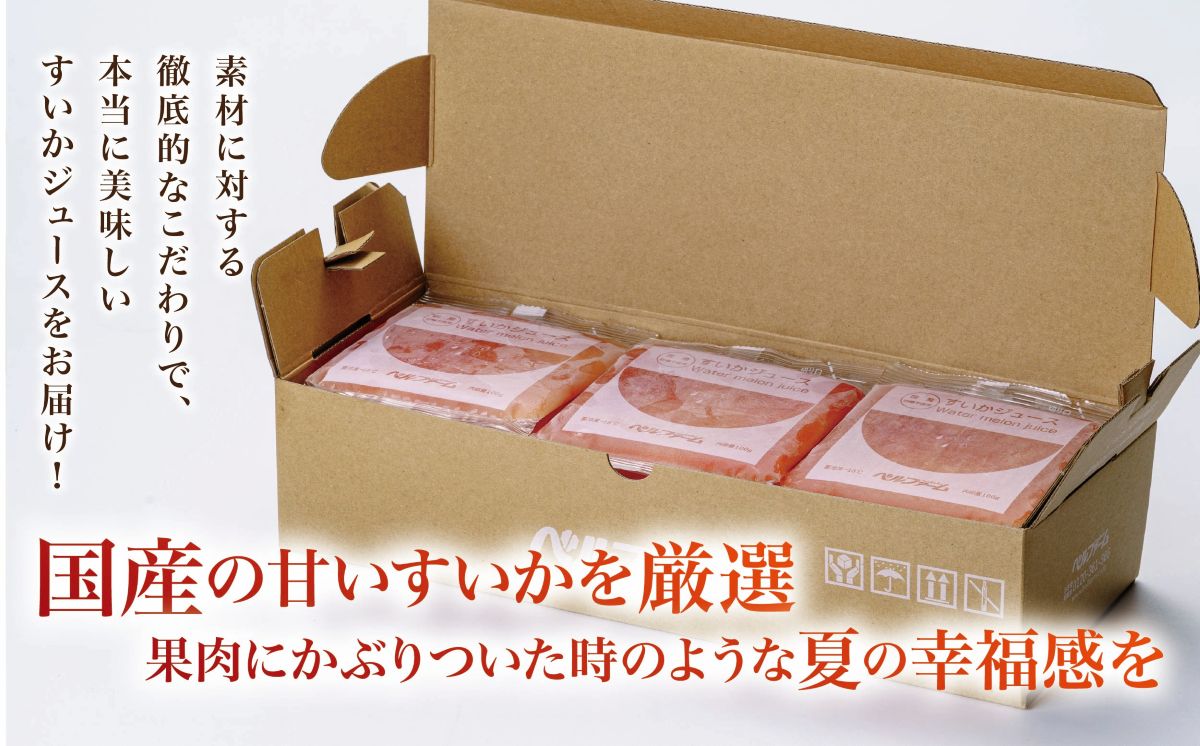 すいかジュース 100g × 15 パック ＜離島・沖縄配送不可＞ 【 茨城県 つくば市 西瓜 飲料 ドリンク フルーツジュース すいか ジュース スイカ 健康  無添加 】