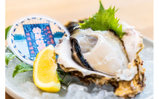 【期間限定】 新鮮！ 天然 岩カキ M250g前後 10個 （生食用） 《志摩市》 牡蠣 カキ かき 岩牡蠣 貝 魚貝 海産物 おつまみ 鍋 カキ鍋 牡蠣鍋