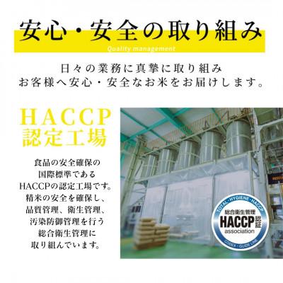 ふるさと納税 八代市 【先行予約】《令和7年産》くまさんの輝き 5kg×1袋 計5kg 熊本県産 |  | 03