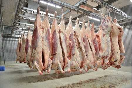 お好きなカット可能! 飛騨牛 リブロースブロック 5kg【D-39】