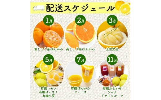 全 3回 3ヶ月 果物 定期便 ぽんかん 土佐 文旦 オーガニック 無農薬 防腐剤 不使用 高知県 須崎市 柑橘 蜜柑 みかん オレンジ フルーツ 果物 お取り寄せ 家庭用 高知県 須崎市 頒布会 3