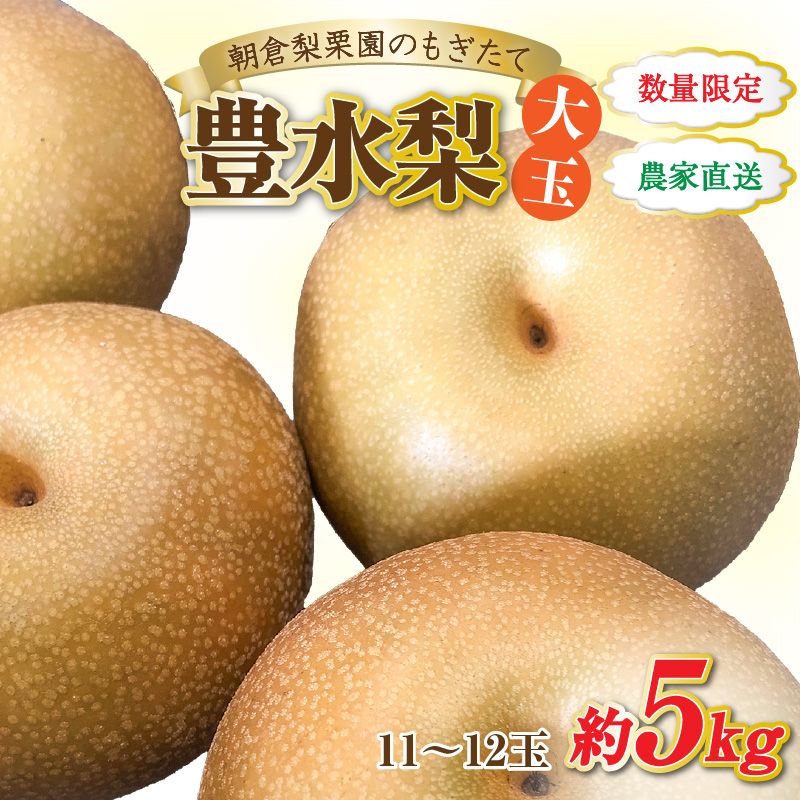 【先行予約】《数量限定》豊水梨【大玉】11～12玉入 約5kg / もぎたて 新鮮 期間限定 果物 フルーツ 農家直送 お取り寄せ 豊水 梨 なし 福井県 あわら市※2024年9月上旬より順次発送 [aw042-a001]