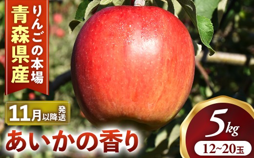 りんご【あいかの香り】約5kg（12～20玉）【2026年産・先行予約】★2026年11月中旬～2027年1月上旬頃まで発送予定★ りんご 林檎 リンゴ 国産 あいかの香り 大玉 フルーツ 果物 贈答 土産 青森県 三戸町 AK-21-040