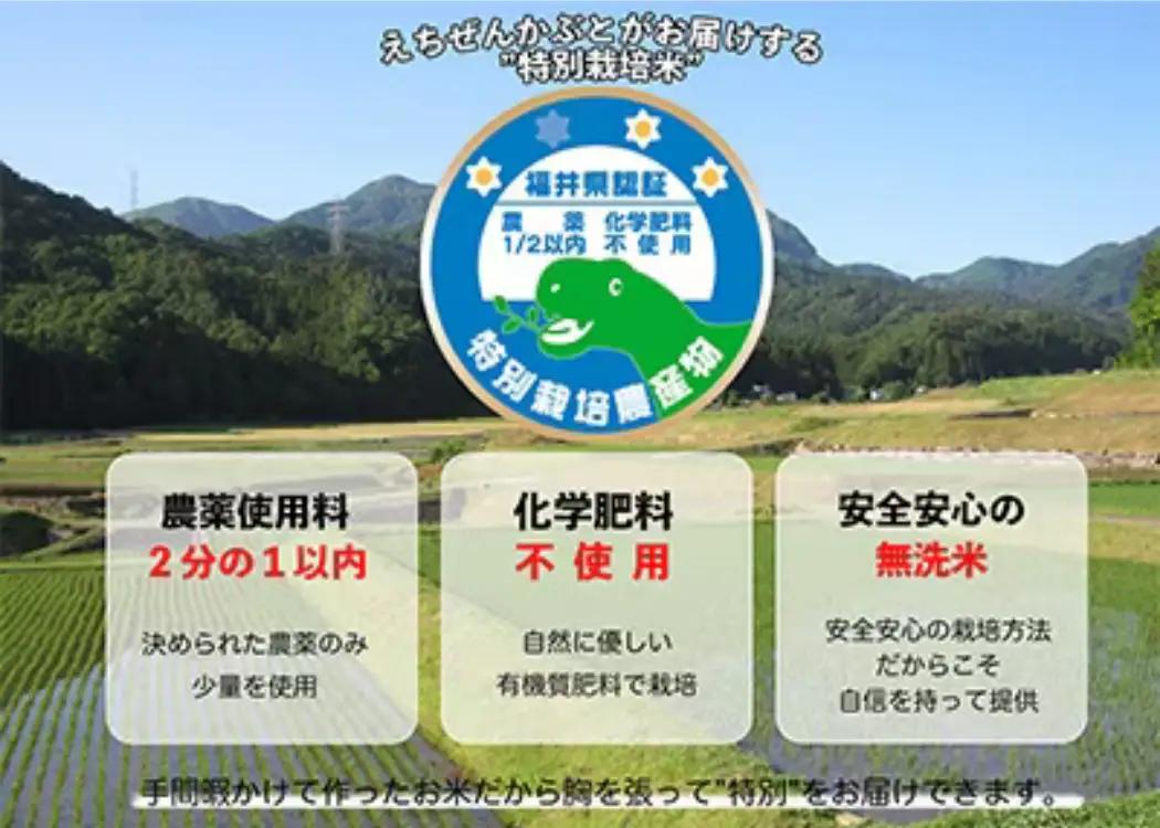 【先行予約】令和8年産 特別栽培米コシヒカリ 5kg×1袋（無洗米） 【2026年9月29日より順次発送】 [A-005011]