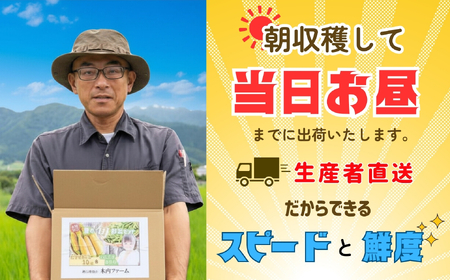 とうもろこし（ゴールドラッシュ）と枝豆セット《2026年7月上旬頃より出荷予定》木内ファーム_とうもろこし Ca-005