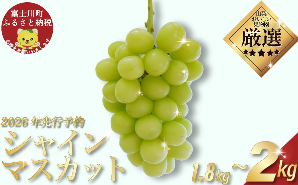 【贈答用】【2026年発送分 先行予約】 山梨おいしい果物園のシャインマスカット 1.8kg-2.0kg (2~4房)　産地直送 フルーツ シャイン マスカット ブドウ ぶどう 山梨 やまなし 富士川町