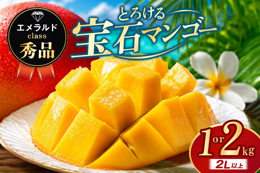 
                  ぼうけんの国 宝石マンゴー 【秀品】アーウィンマンゴー エメラルドclass 選べる 約1kg 約2kg 国産 アーウィン マンゴー 秀品 果物 南国 くだもの フルーツ 完熟 夏 旬 特産品 取り寄せ 産地直送 農家直送 甘い 濃厚 沖縄 うるま市 ku01-003-SKU
                
