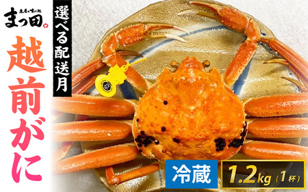 【先行予約】まっ田の越前がに 1.2kg×1杯【11月～3月配送】[L-007010]