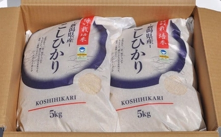 【令和7年産米】コシヒカリ 白米 10kg（5kg×2袋） 新潟県認証特別栽培米 お米 新潟県産 アグリーホンマ[Y0364]