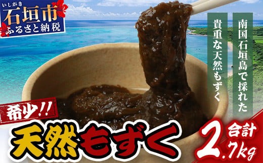 石垣島産天然もずく６パック・内容量450g×6 合計2.7kg 2025年新もずく《2025年3月上旬～順次発送》【 沖縄県 石垣市 天然 水雲 海藻 もずく フコイダン 常温保存 塩もずく 】SI-75