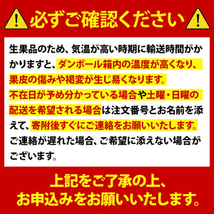 s320 ＜先行予約受付中！2026年2月上旬より順次発送予定＞《期間・数量限定》サワーポメロ(約10kg) 鹿児島 国産 九州産 果物 柑橘 フルーツ みかん 文旦 ボンタン【よしたか農園】