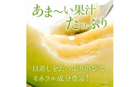 糖度抜群！奇跡のキスグリーン（青肉）3～5玉入り