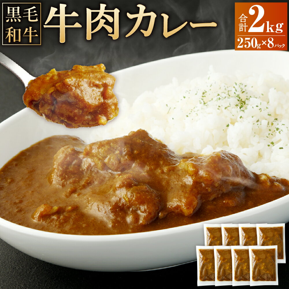 【ふるさと納税】牛肉カレー(250g×8パック) 計2,000g カレー 黒毛和牛 牛肉 和風ベース 冷凍 熊本県 高森町