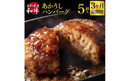 【CF-R7hbk】t211cdm　創業50年老舗レストランの幻の和牛あかうしハンバーグ130g×5ケ 3ヶ月定期便 土佐あかうし 美鮮豚 牛肉 高級 ハンバーグ 冷凍 美味しい 肉汁ハンバーグ 焼くだけ 小分け 個包装 高級 国産 定期便 定期コース 