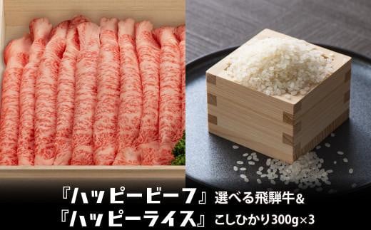 米 （300g×3） と 飛騨牛 (300-500g) こしひかり コシヒカリ Ａ4等級 Ａ5等級 ブランド牛 内祝い のし 熨斗 ハッピープラス 飛騨高山 JQ028