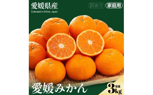 ＜数量限定 愛媛みかん（ご家庭用） 合計約3kg＞『2026年11月上旬～1月下旬迄に順次出荷予定』ご自宅用 蜜柑 ミカン 果汁 果物 くだもの フルーツ 柑橘 あまい 甘い まろやかな味わい 薄皮 特産品 お取り寄せ NOT FARM 愛媛県 西予市 【常温】