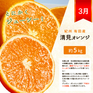 【3回定期便】 田村みかん・ポンカン・清見オレンジ 旬の柑橘定期便【tkb111】