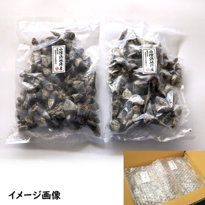 亀の手　大サイズ　500g×2袋　計1kg　兵庫県新温泉町　【配送不可地域：離島】【1411902】