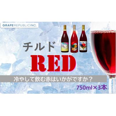 ふるさと納税 南陽市 グレリパ チルドレッド 3本セット 750ml × 3本『(株)グレープリパブリック』【S2338】