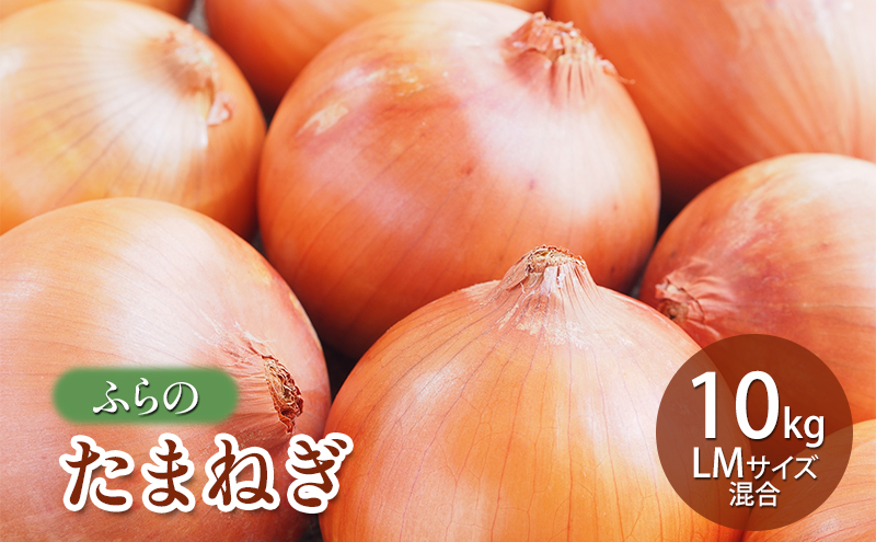 【2026年秋発送】ふらの たまねぎ 10kg LMサイズ混合 北海道 富良野市 野菜 新鮮 直送 玉ねぎ 道産 ふらの 送料無料 数量限定 先着順